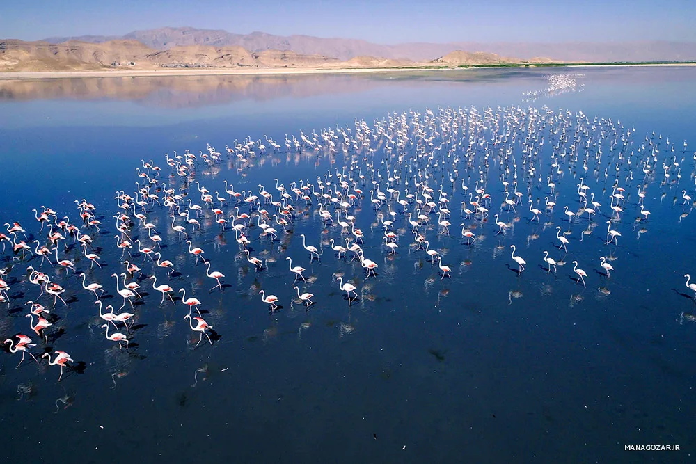 تالاب مهارلو