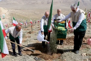 کاشت نهال در ارتفاعات پارک کوهستان نور شیراز