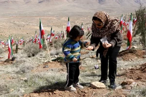 کاشت نهال در ارتفاعات پارک کوهستان نور شیراز