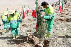 کاشت نهال در ارتفاعات پارک کوهستان نور شیراز