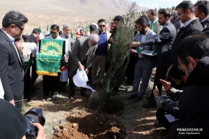 کاشت نهال در ارتفاعات پارک کوهستان نور شیراز