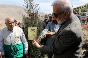 کاشت نهال در ارتفاعات پارک کوهستان نور شیراز