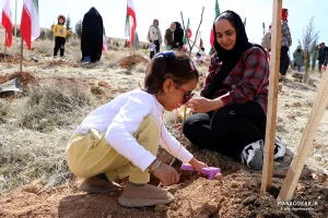 کاشت نهال در ارتفاعات پارک کوهستان نور شیراز