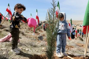 کاشت نهال در ارتفاعات پارک کوهستان نور شیراز