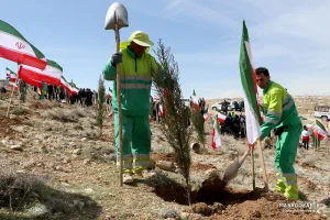 کاشت نهال در ارتفاعات پارک کوهستان نور شیراز