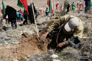 کاشت نهال در ارتفاعات پارک کوهستان نور شیراز