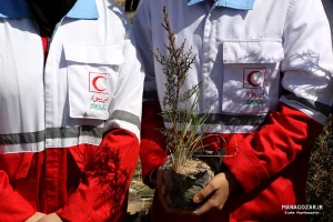 کاشت نهال در ارتفاعات پارک کوهستان نور شیراز