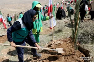 کاشت نهال در ارتفاعات پارک کوهستان نور شیراز