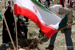 کاشت نهال در ارتفاعات پارک کوهستان نور شیراز