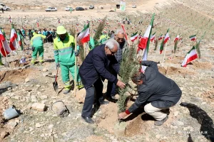 کاشت نهال در ارتفاعات پارک کوهستان نور شیراز