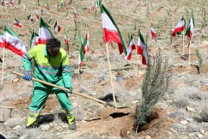 کاشت نهال در ارتفاعات پارک کوهستان نور شیراز