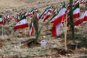 کاشت نهال در ارتفاعات پارک کوهستان نور شیراز