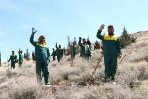 کاشت نهال در ارتفاعات پارک کوهستان نور شیراز
